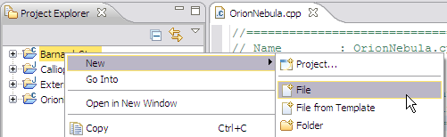 New > File in Projects View